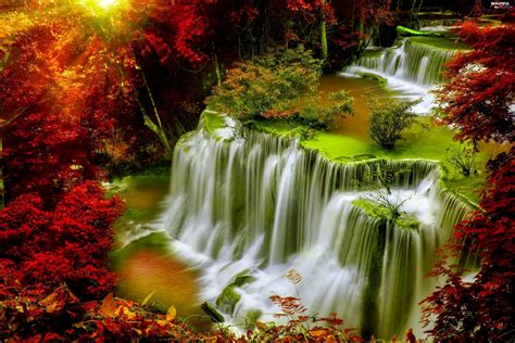 Forest Autumn Waterfall Beautiful Views Wallpapers 3000x2000