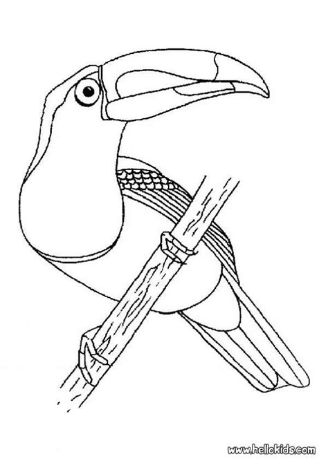 Toucan coloring page for adults. Toucan Coloring Pages - GetColoringPages.com