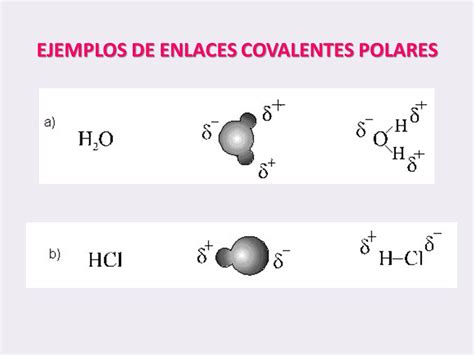 Ejemplos De Sustancias Con Enlace Covalente Polar Opciones De Ejemplo