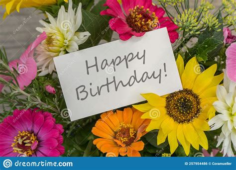 Birthday Card With Colorful Summer Flowers Stock Photo Image Of