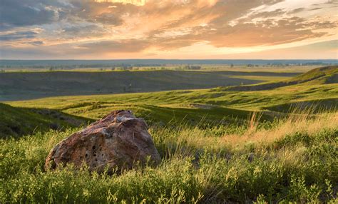 The Prairie Revealed | American Prairie