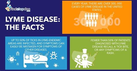 What Is Lyme Disease Facts About Lyme Disease Infographic
