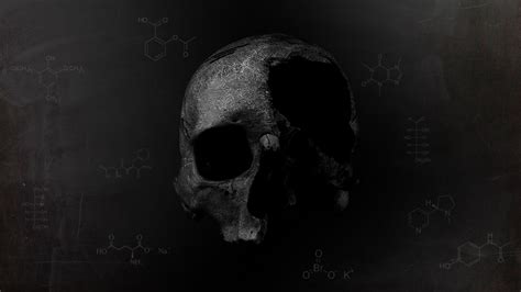 Wallpaper Dark Skull Death Chemistry Head Darkness 1920x1080 Px