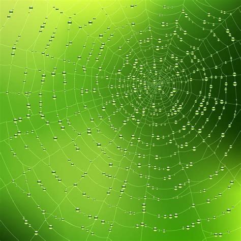 Spider Web Background Eps Vector Uidownload