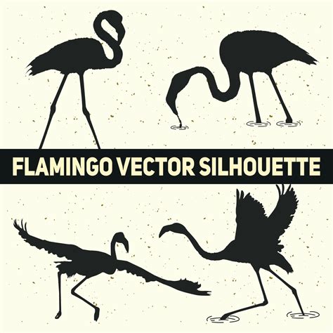 Flamingo Vector Silhouettes 8485087 Vector Art At Vecteezy