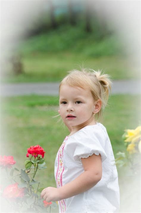 Little Girl Stock Photo Image Of Girl Casual Daughter 34143836