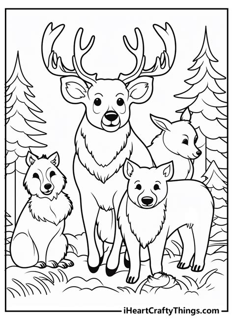 Woodland Animal Coloring Pages