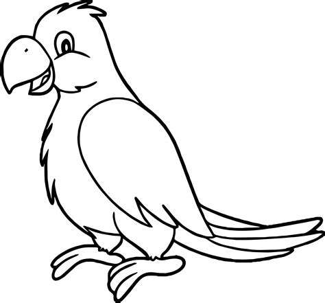Animal Cute Parrot Coloring Pages View
