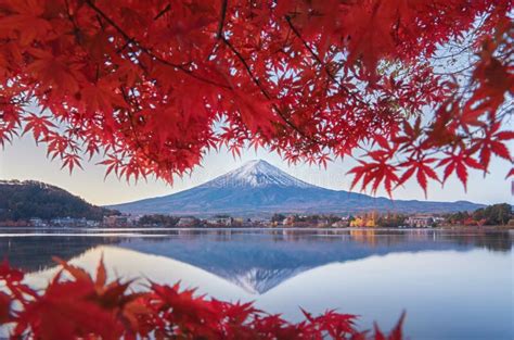 Mountain Fuji With Red Maple Leaves Or Fall Foliage In Colorful Autumn