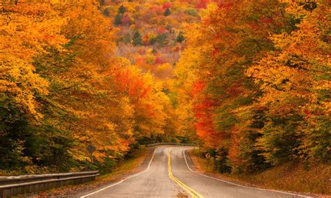 Kancamagus scenic byway cuts through the heart of the white mountain national forest and is the highest roadway in the northeast, peaking at 2,900 feet on mount kancamagus. Cycling and Scenic Drives in the White Mountains