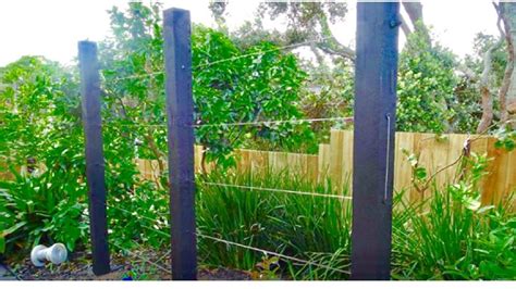 Post Mounted Espalier System From Lockjaw This Is A Free Standing