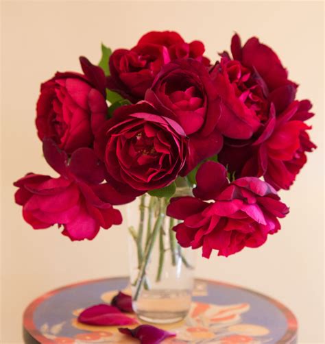Great Red Roses Rose Notes