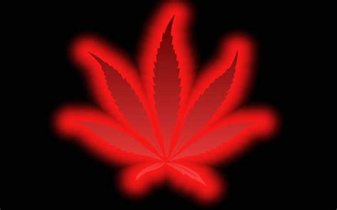 3d Weed Leaf Wallpapers Wallpaper Cave