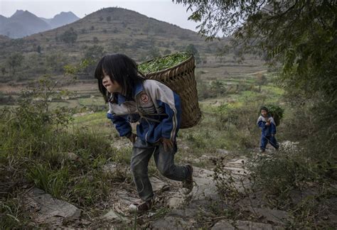China's 'left behind' children | New York Post