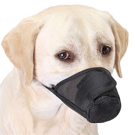 Top 10 Best Dog Muzzles To Prevent Biting Of 2019 Review Best Pet Pro