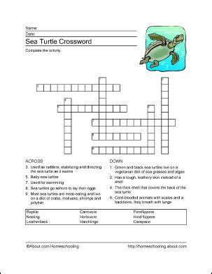 Sea Turtle Word Search Crossword Puzzle And More