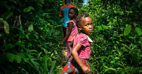 Voyage En République Démocratique Du Congo Poumon Vert Menacé Par Des Projets De Rente