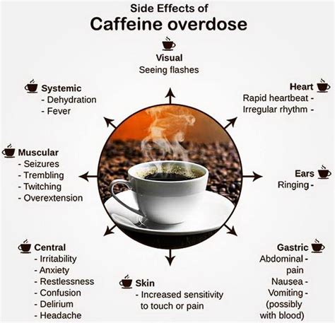 Describe The Effects Of Caffeine On The Heart Rate