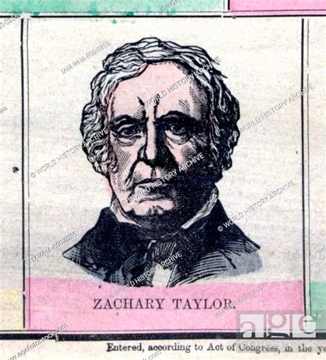 Zachary Taylor November 24 1784 July 9 1850 Was The 12th