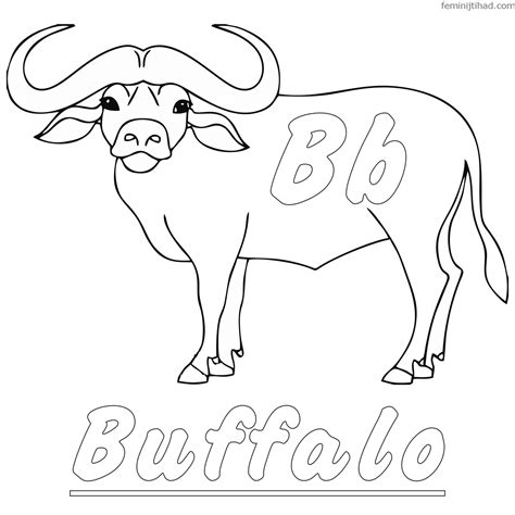 Buffalo Coloring Pages For Kids at GetColorings.com | Free printable