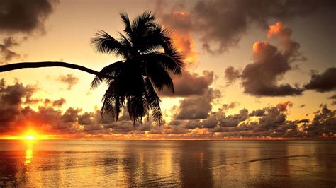 Hawaiian Sunset Hd Beach Wallpapers 1080p Hd Pic Wallpapers Hero