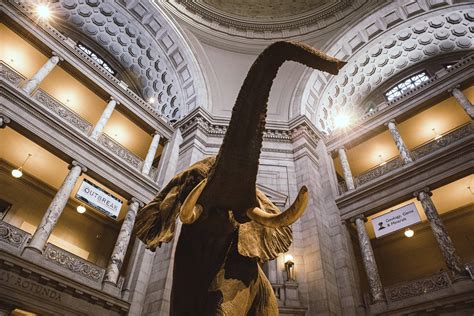 7 Of The Best History Museums In Washington Dc
