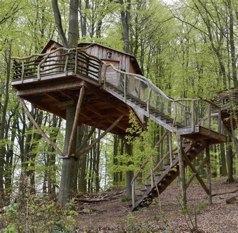 Hessen: Urlaub im Baumhaus – der Natur ganz nah - WELT