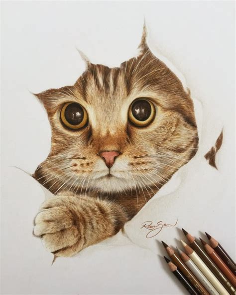 Realistic Color Pencil Animal Drawings Realistic Animal Drawings Cat