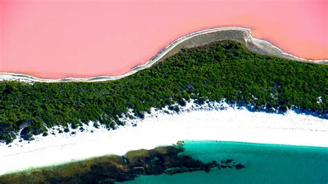 O Maravilhoso Lago Cor De Rosa Da Austrália Clickcuriosidades