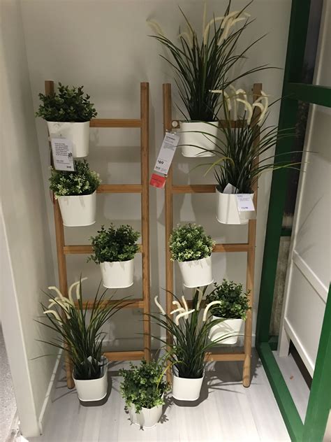 Maybe you would like to learn more about one of these? IKEA plant | Ikea plants, Japan home, Decor