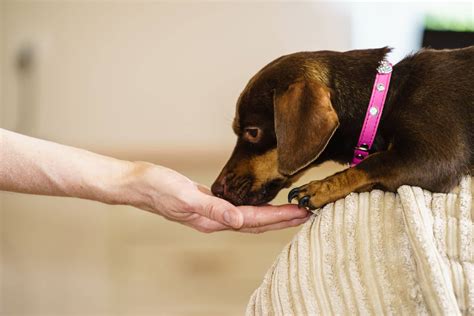 Find the best hospital around union city,pa and get detailed driving directions with road conditions, live traffic updates, and reviews of local business along the way. Senior Pet Care in Waterford - Union Lake Veterinary Hospital