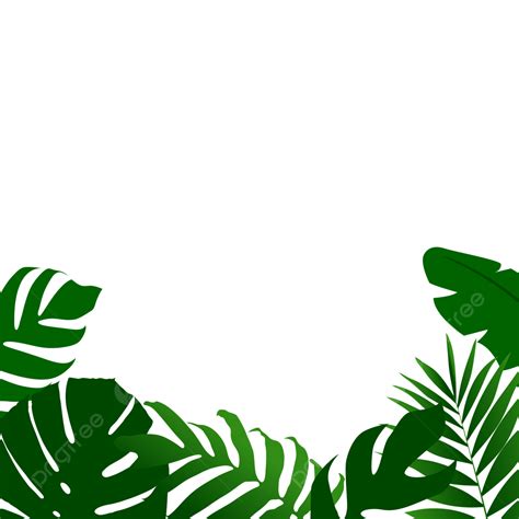 tropical leaf frame vector design images tropical leaf frame border design summer tropical
