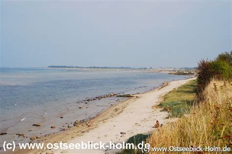 .brasilien möwenweg storchenweg video brasilien & kalifornien ferienhausgebiet brasilien fußball wm webcam. Sandburgen Festival Schönberger-Strand 2012