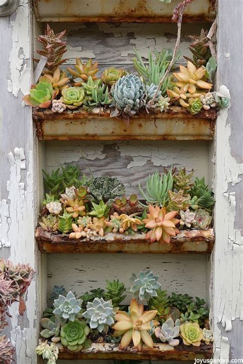 Succulents Planted In Unusual Containers Creative Ideas