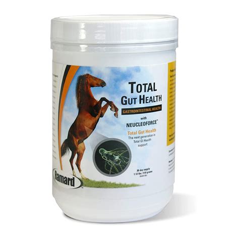 Buy Ramard Total Gut Equine Digestive Support Equine Gut Supplement