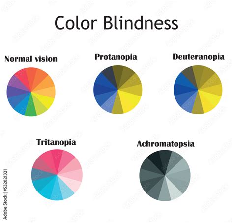 Color Blindness Typs Normal Vision Protanopia Deuteranopia