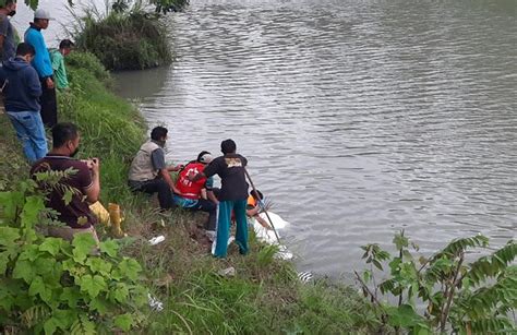 Mayat Pria Telanjang Ditemukan Mengambang Di Sungai Serang Kulonprogo