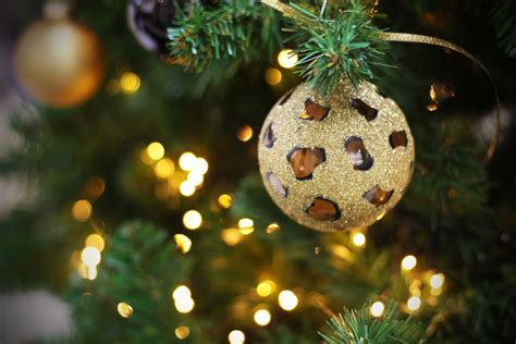 무료 이미지 크리스마스 장식 크리스마스 트리 가문비 크리스마스 이브 분기 전나무 Oregon Pine 우디 식물