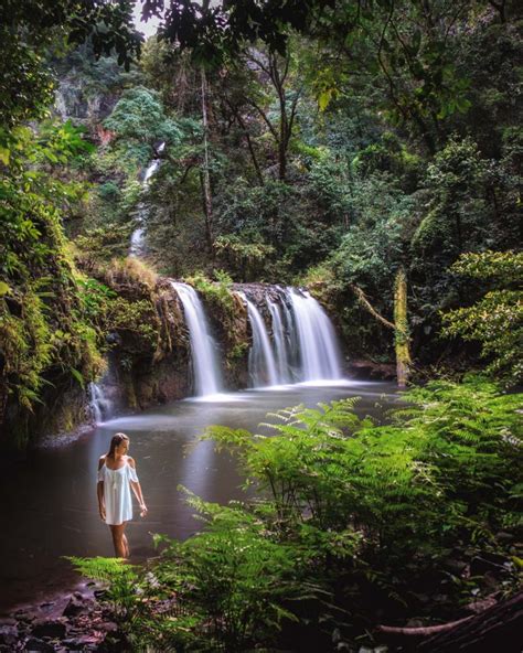 best waterfalls near cairns ⋆ we dream of travel blog