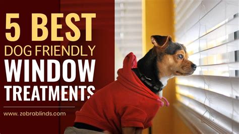 5 Best Dog Friendly Window Treatments Dog Friends Window Treatments