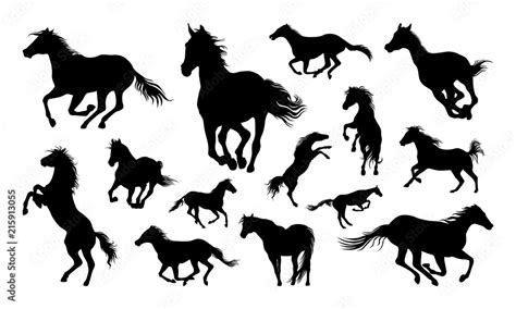 Horses Silhouette Set Vector Illustration Collection Of Horse