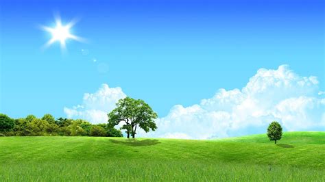 Tree Clouds Grass Hd Wallpapers Wallpaper Cave