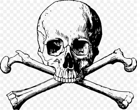 Skull And Bones Skull And Crossbones Png 1280x1028px Skull And Bones