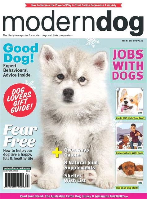 Modern Dog Modern Dog Digital Magazine Dog Lovers