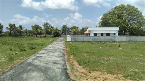 Residential Plot Land For Sale In Palakkad Palakkad 1105 Cent
