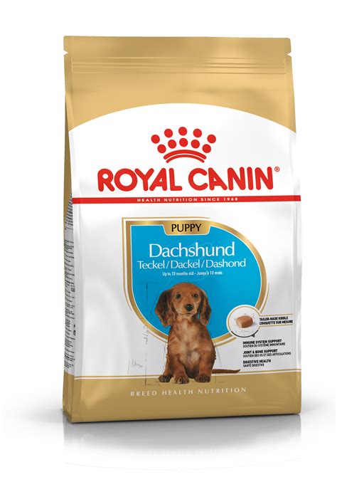 Find dachshund puppies and breeders in your area and helpful dachshund information. Dachshund Puppy Dry - Royal Canin