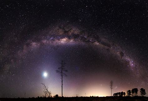 Download Starry Sky Tree Space Star Night Sci Fi Milky Way Hd Wallpaper