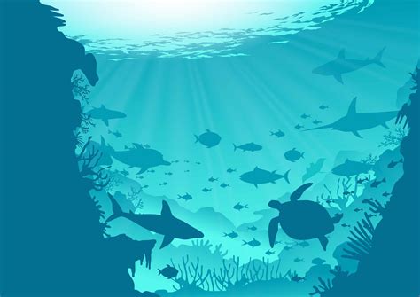 Ocean Vector Art, Icons, and Graphics for Free Download