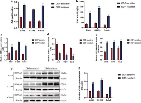 The Expression Patterns Of CircRNA CDR1as MiR 641 And HOXA9 In Human