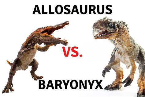 Who Would Win In A Fight Between A Baryonyx Vs Allosaurus Dinosaur